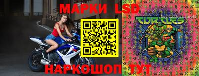 индика Канаш