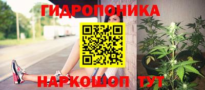 индика Канаш