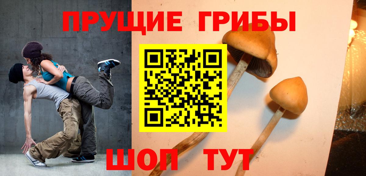 Галлюциногенные грибы Cubensis  Вход с VPN  Краснознаменск  Псилоцибиновые грибы Magic Shrooms 
